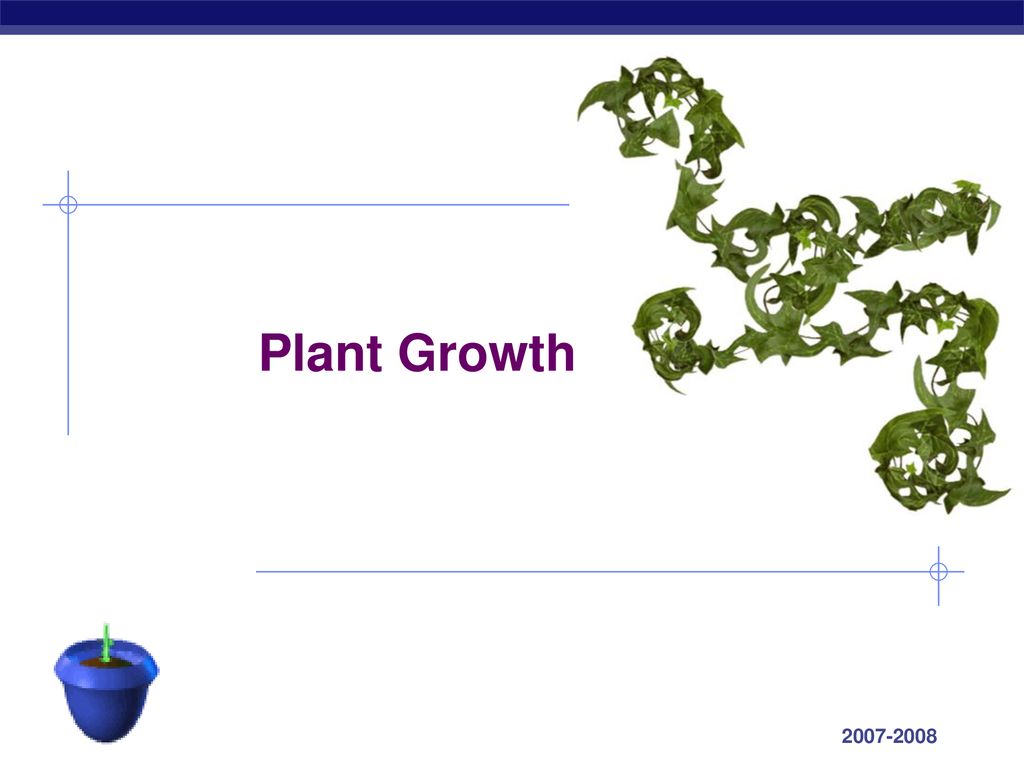 Plant Growth Ppt Download plant-growth-ppt-download