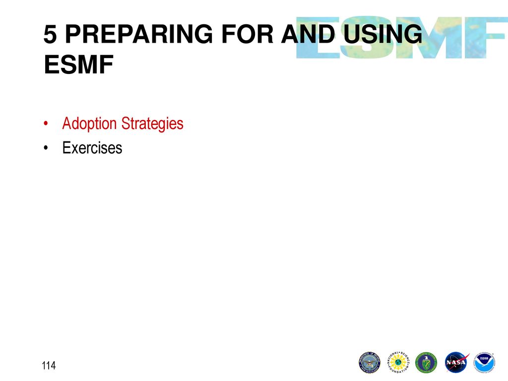 5 PREPARING FOR AND USING ESMF