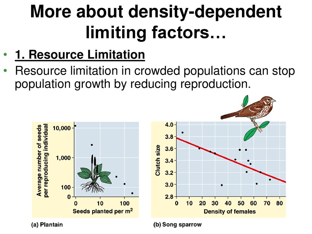 Why Are There So Many People Ppt Download why-are-there-so-many-people-ppt-download
