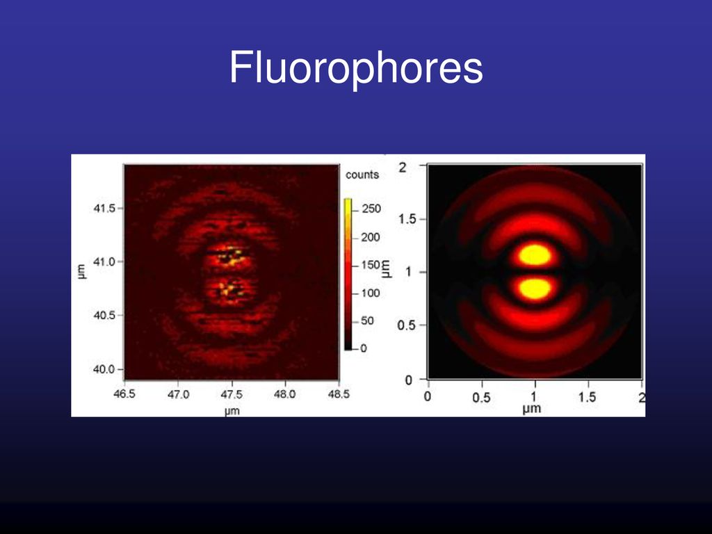 Fluorophores