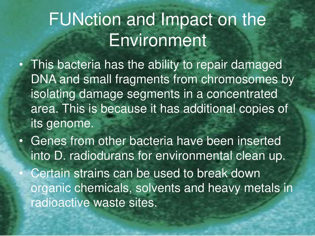 Deinococcus Radiodurans Art Radiotrophic Bacteria Print 