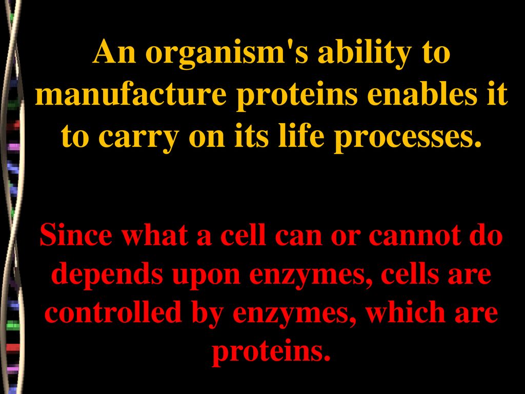 An organism s ability to manufacture proteins enables it to carry on its life processes.