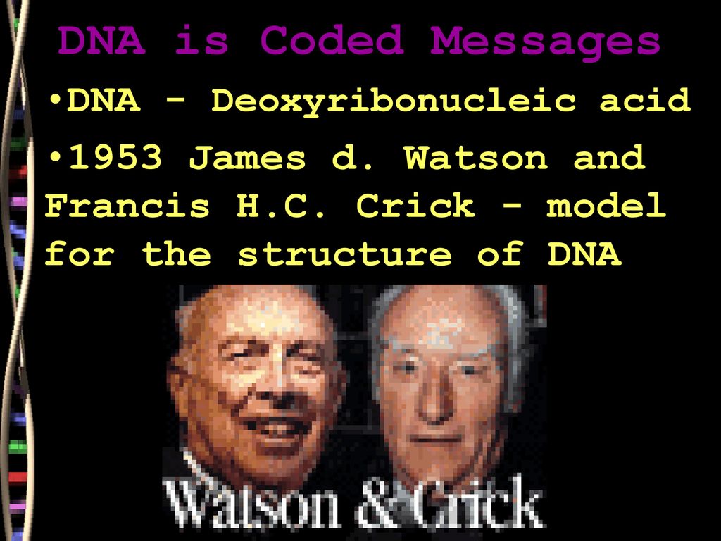DNA is Coded Messages DNA - Deoxyribonucleic acid