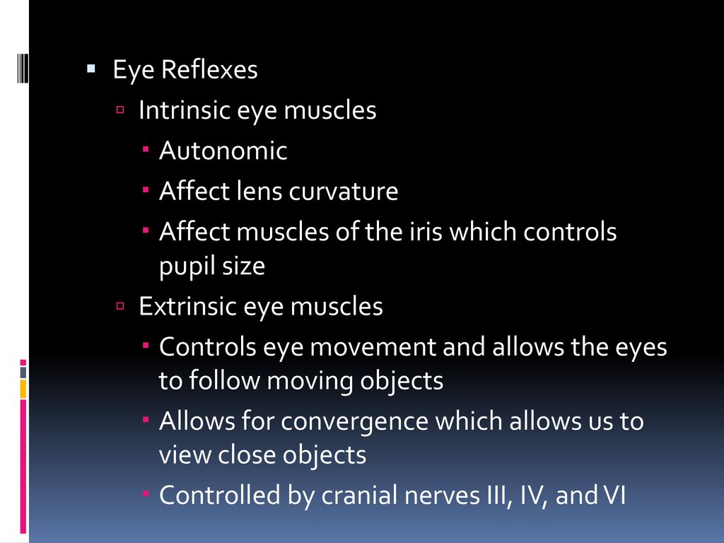 Anatomy Ch. 8 Special Senses. - ppt download