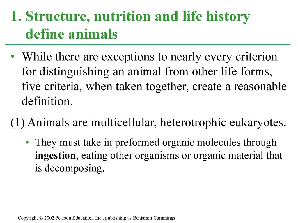 CHAPTER 32 INTRODUCTION TO ANIMAL EVOLUTION - ppt download