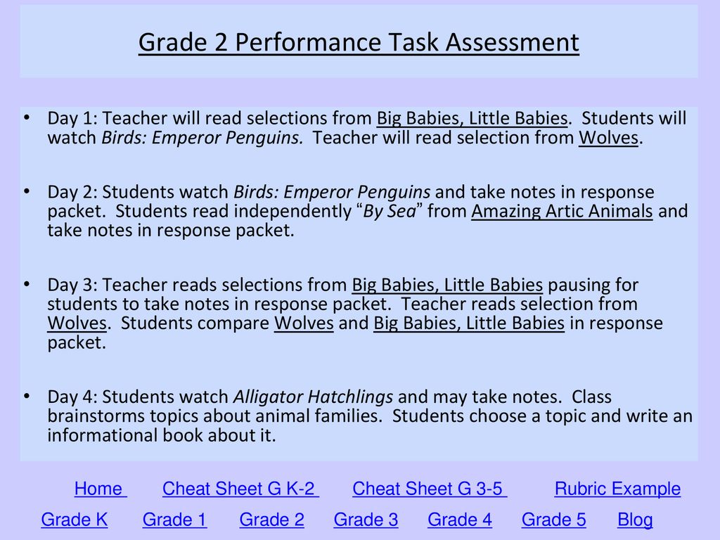 Grade 2 Performance Task Assessment