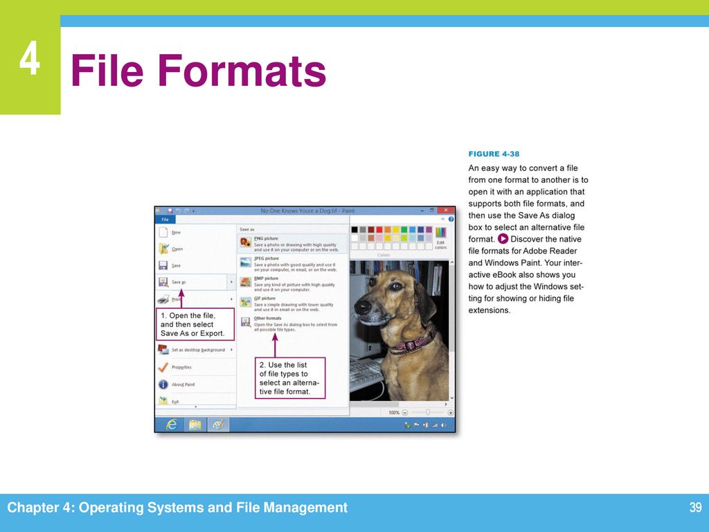 File Formats Chapter 4: Operating Systems and File Management