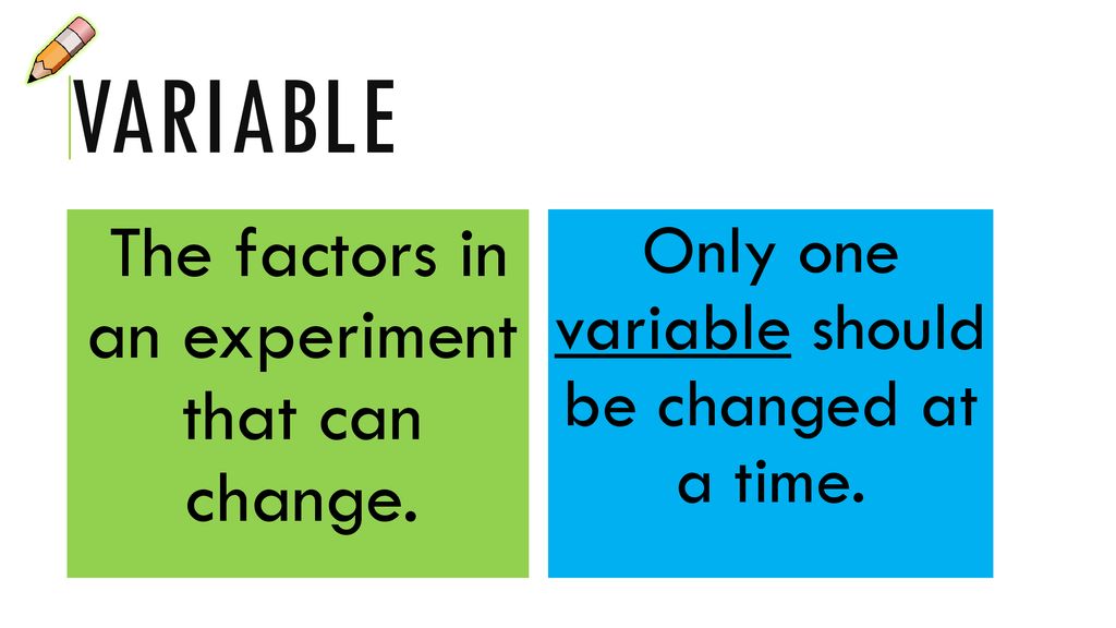 variable The factors in an experiment that can change.