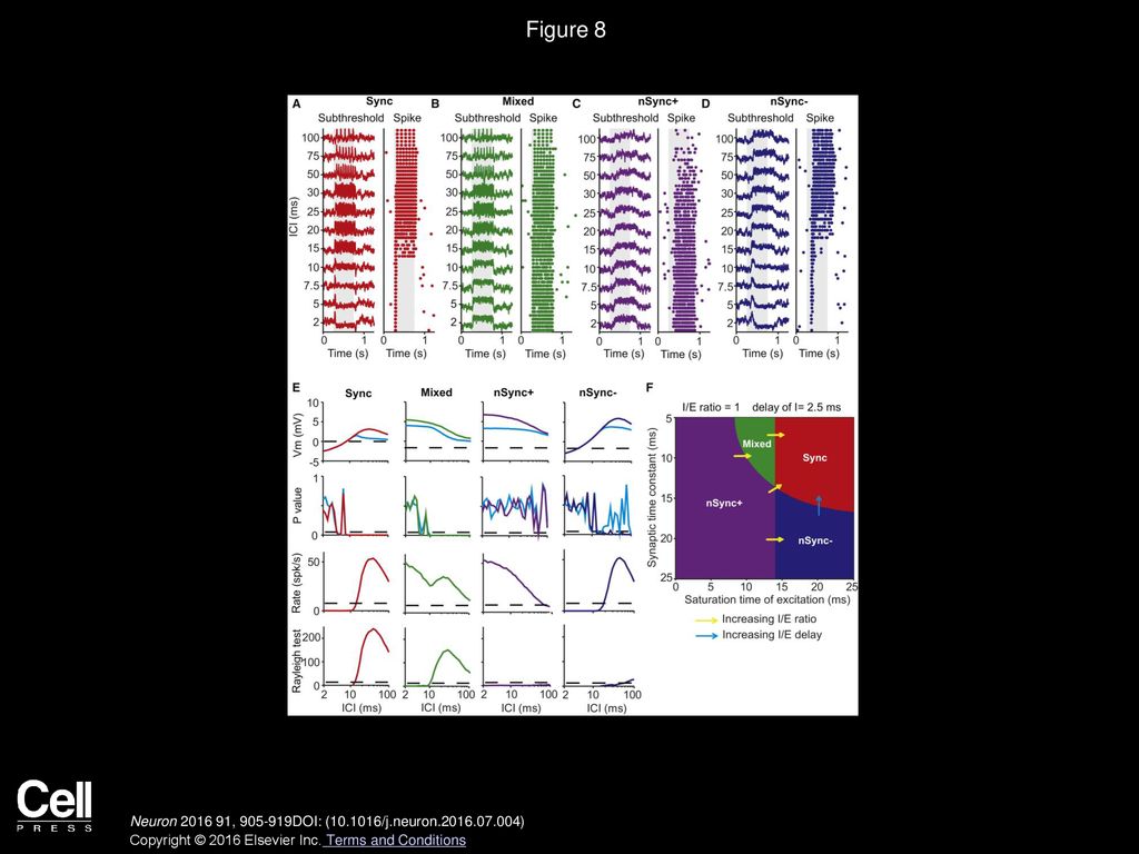 Figure 8 Computational Simulation of A1 Response to Repetitive Stimuli