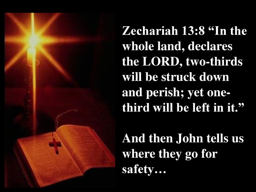 Image result for In the whole land, declares the LORD, two-thirds will be struck down and perish; yet one-third will be left in it.