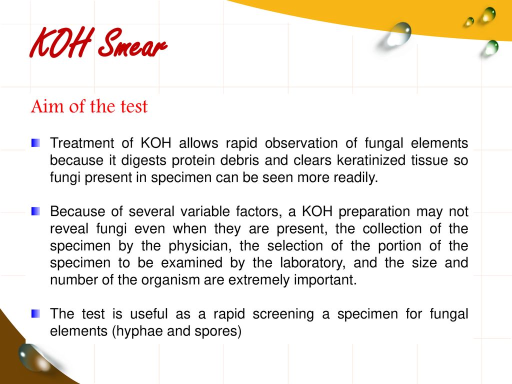 KOH SMEAR بسم الله الرحمن الرحيم - ppt download