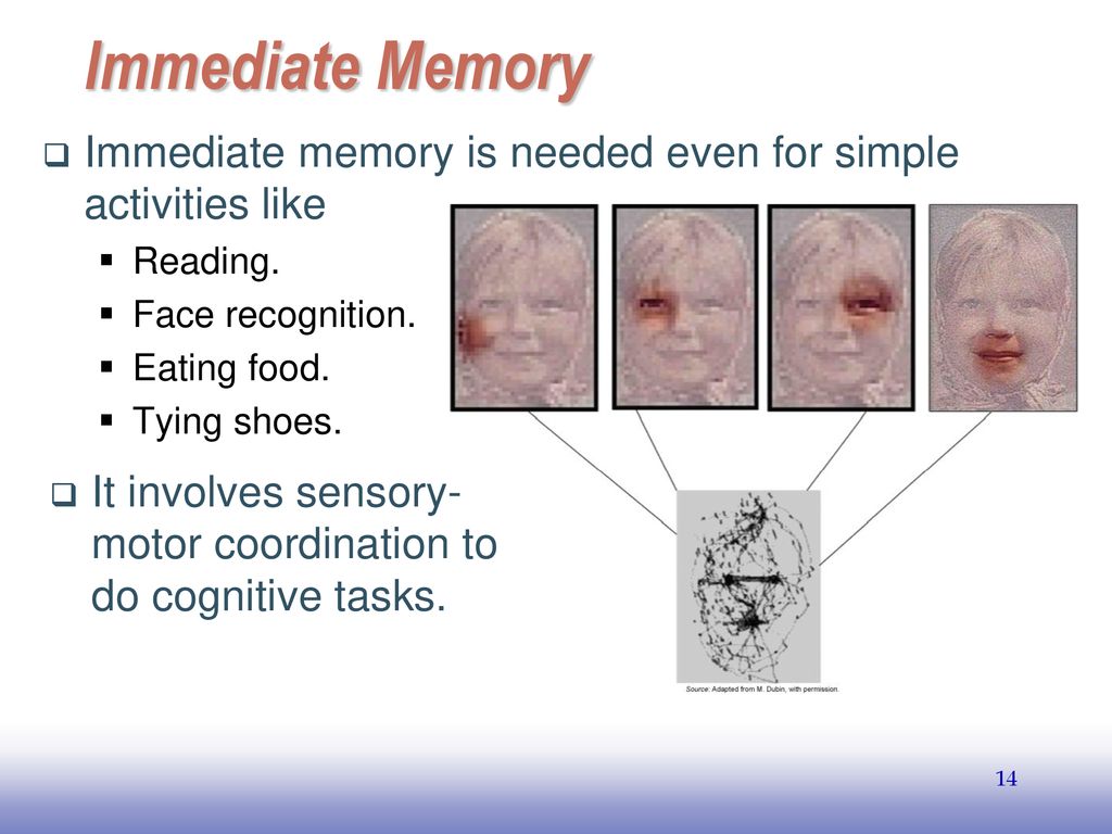 Immediate Memory Immediate memory is needed even for simple activities like. Reading. Face recognition.