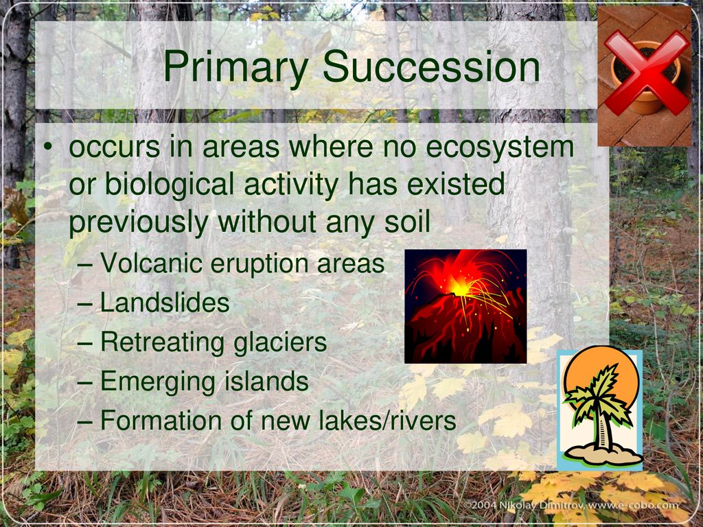 Changes in Ecosystems: Ecological Succession - ppt download