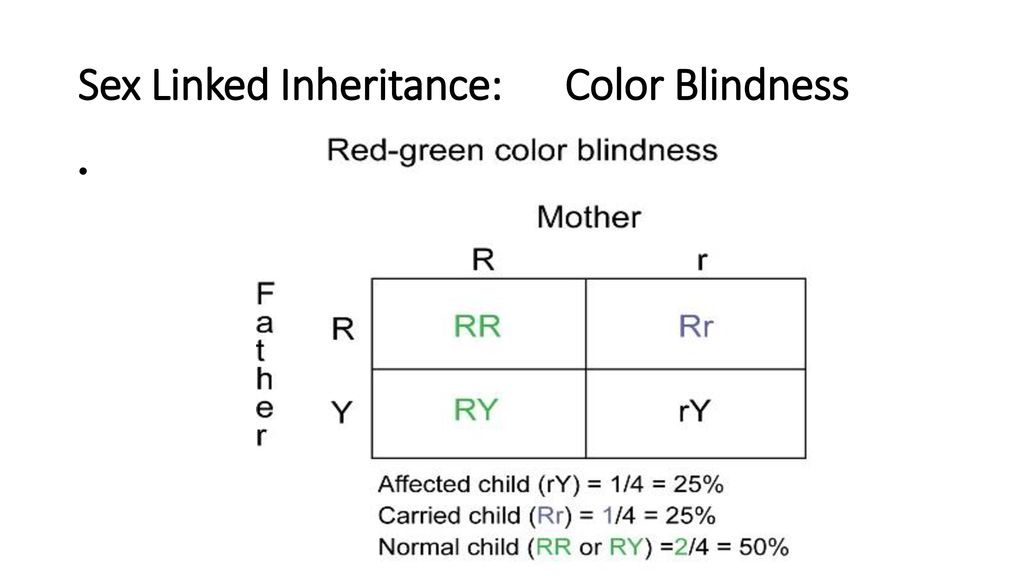 Patterns Of Inheritance Ppt Download