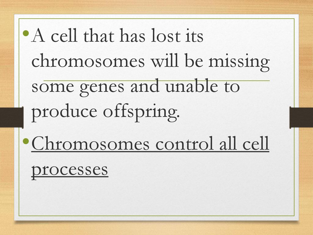 A cell that has lost its chromosomes will be missing some genes and unable to produce offspring.