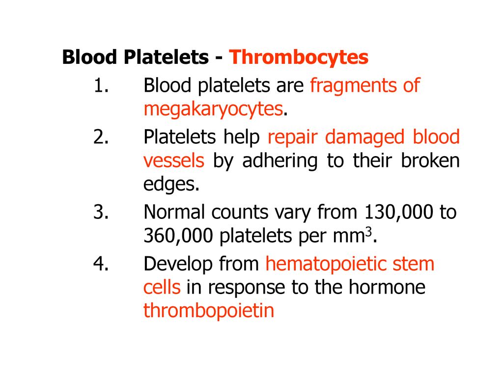 Blood Platelets - Thrombocytes
