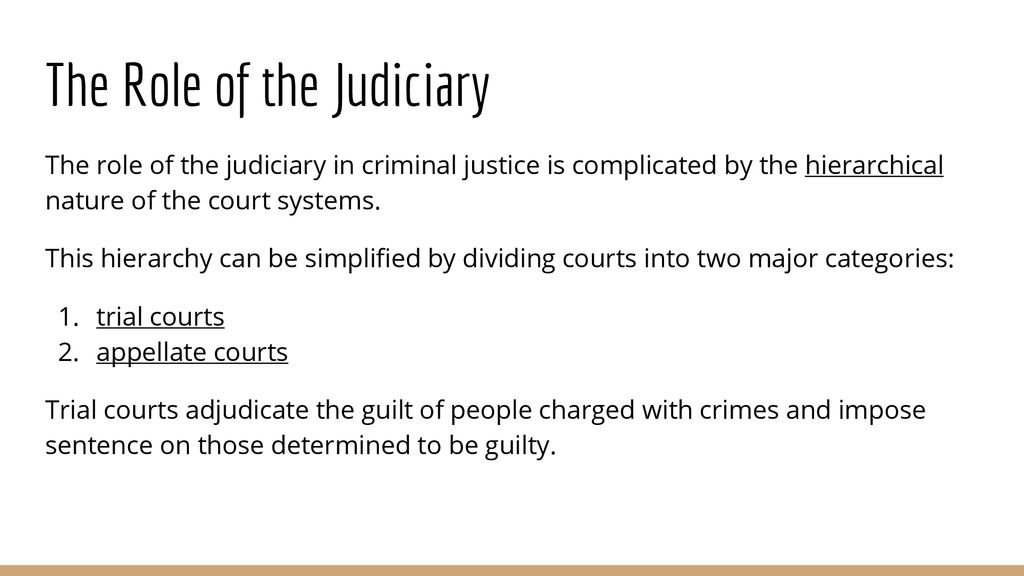 Introduction to Criminal Justice - ppt download