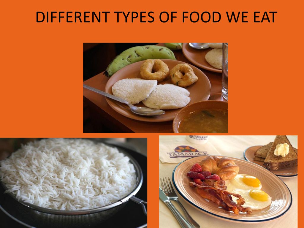 CLASS I SUBJECT EVS PRESENTATION BY Mrs SNOBY JOSE Ppt Download class-i-subject-evs-presentation-by-mrs-snoby-jose-ppt-download
