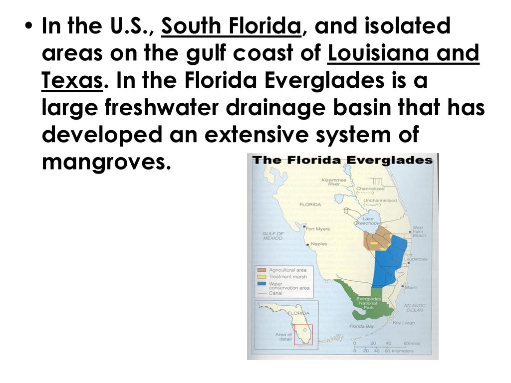 In the U.S., South Florida, and isolated areas on the gulf coast of Louisiana and Texas.