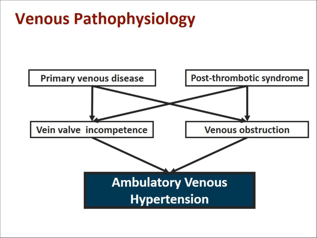 Venous Pathophysiology
