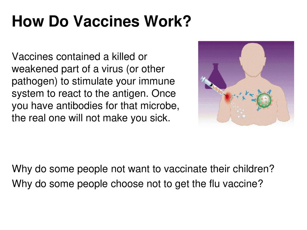 How Do Vaccines Work
