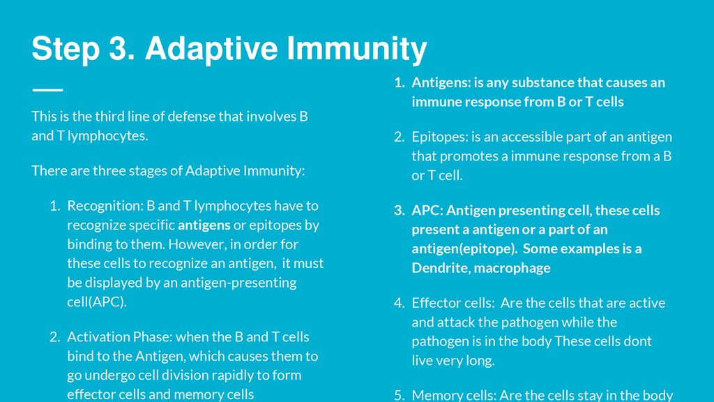 Step 3. Adaptive Immunity