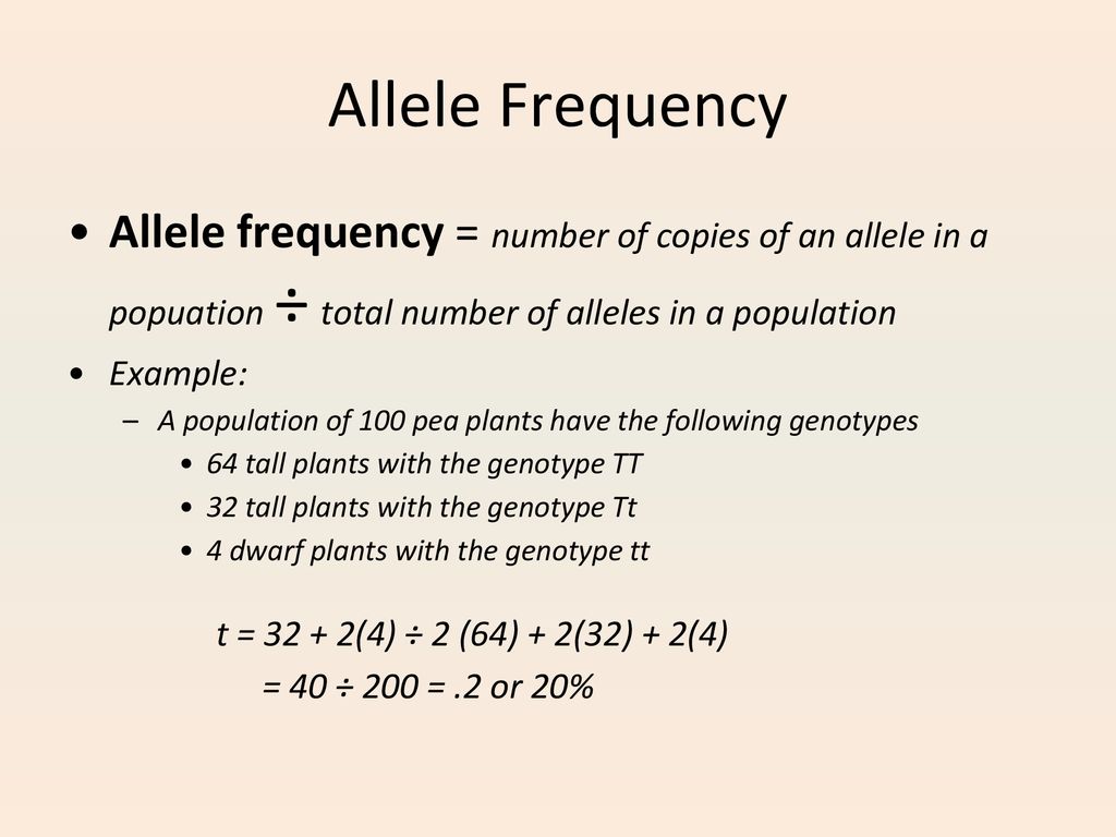 Allele Frequencies Genotype Frequencies The Hardy-Weinberg Equation - ppt  download