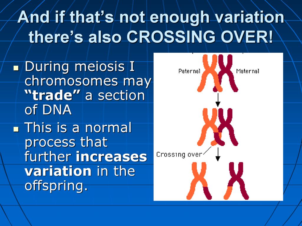 genetics-introduction-ppt-download