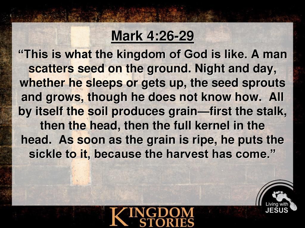 Mark 4 26 29 He Also Said This Is What The Kingdom Of God Is Like A Man Scatters Seed On The Ground Night And Day Whether He Sleeps Or Gets Up Ppt Download Mark 4 26 29 He Also Said This Is What The Kingdom Of God Is Like A Man Scatters Seed On The Ground Night And Day Whether He Sleeps Or Gets Up Ppt Download