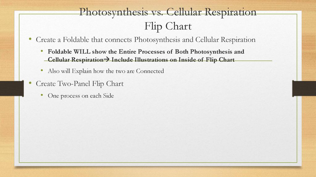 Photosynthesis Vs Cellular Respiration Chart
