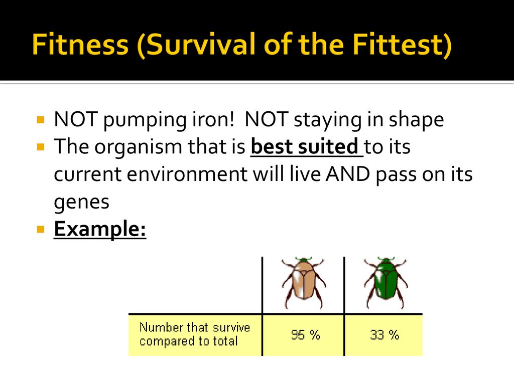 Survival of the Fittest, Definition & Examples