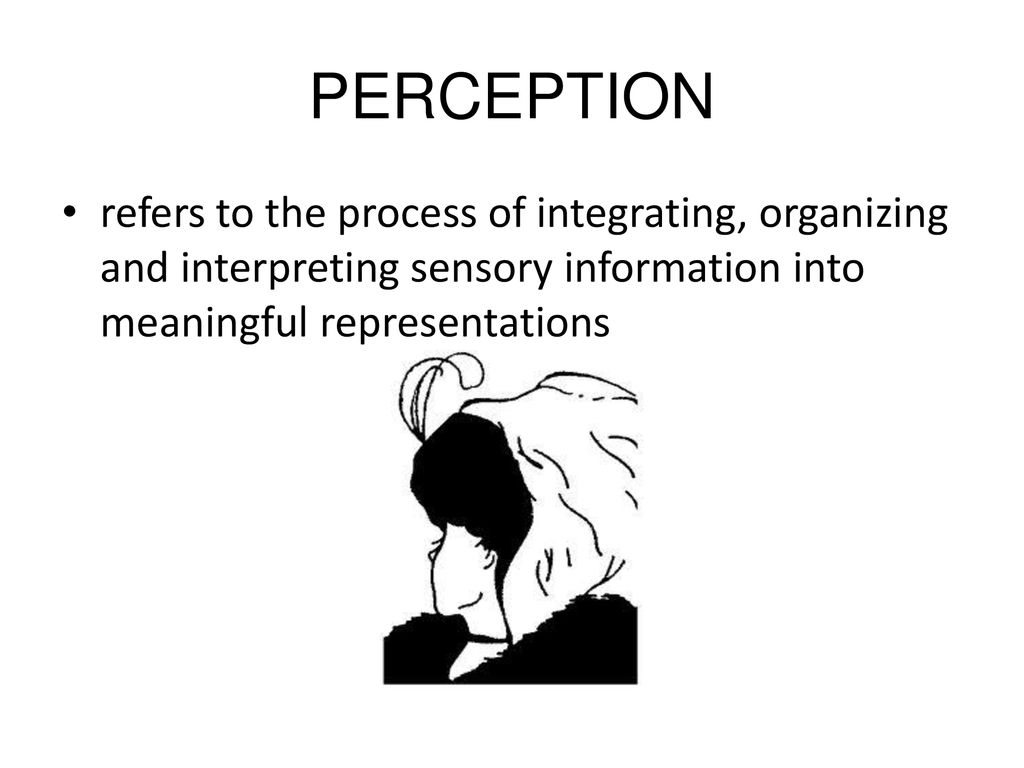 Sensation and perception ppt download