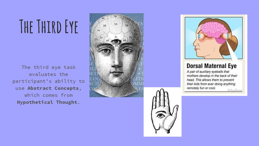 Cognitive Differences In 6th Graders And 12th Graders Ppt Download