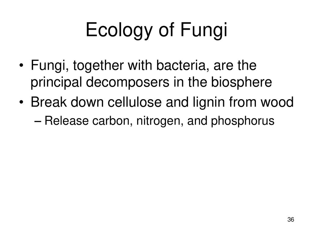 Ecology of Fungi Fungi, together with bacteria, are the principal decomposers in the biosphere. Break down cellulose and lignin from wood.