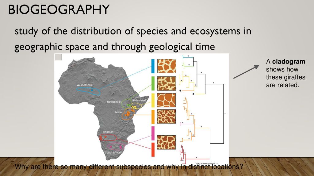 Evolution January 9th. - ppt download