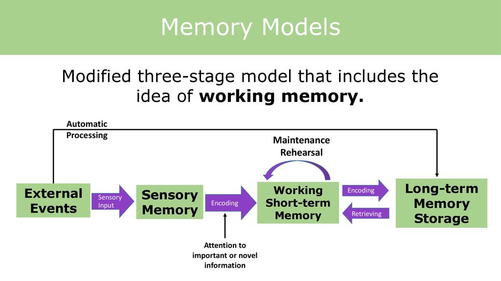 Introduction to Memory - ppt download