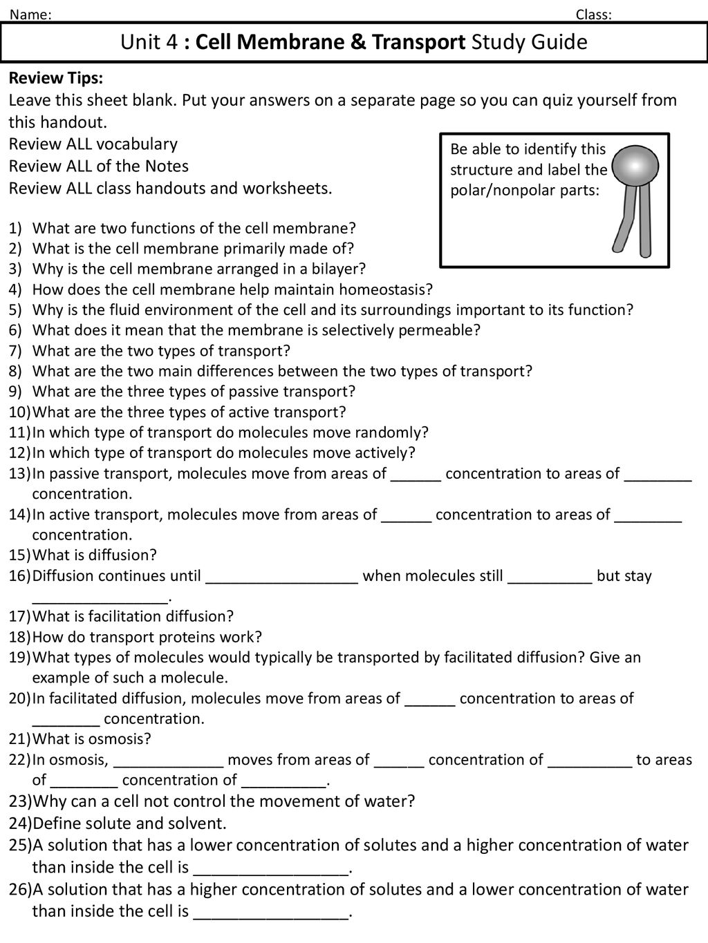 Unit 24 : Cell Membrane & Transport Study Guide - ppt download With Regard To Cell Transport Review Worksheet Answers