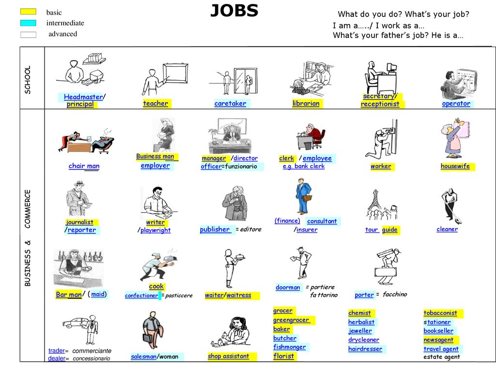 JOBS basic What do you do? What s your job? intermediate ppt download