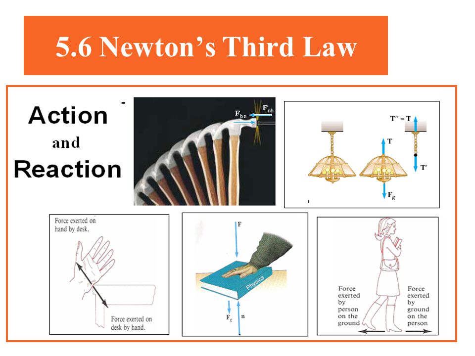 5.6 Newton’s Third Law