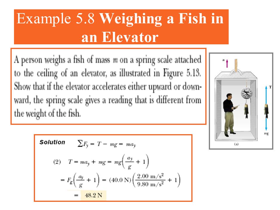 Example 5.8 Weighing a Fish in an Elevator