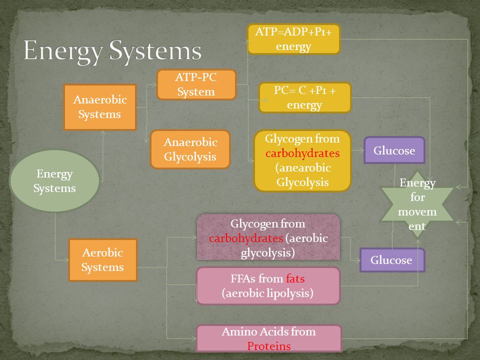 Food Fuels And Three Energy Systems Ppt Download