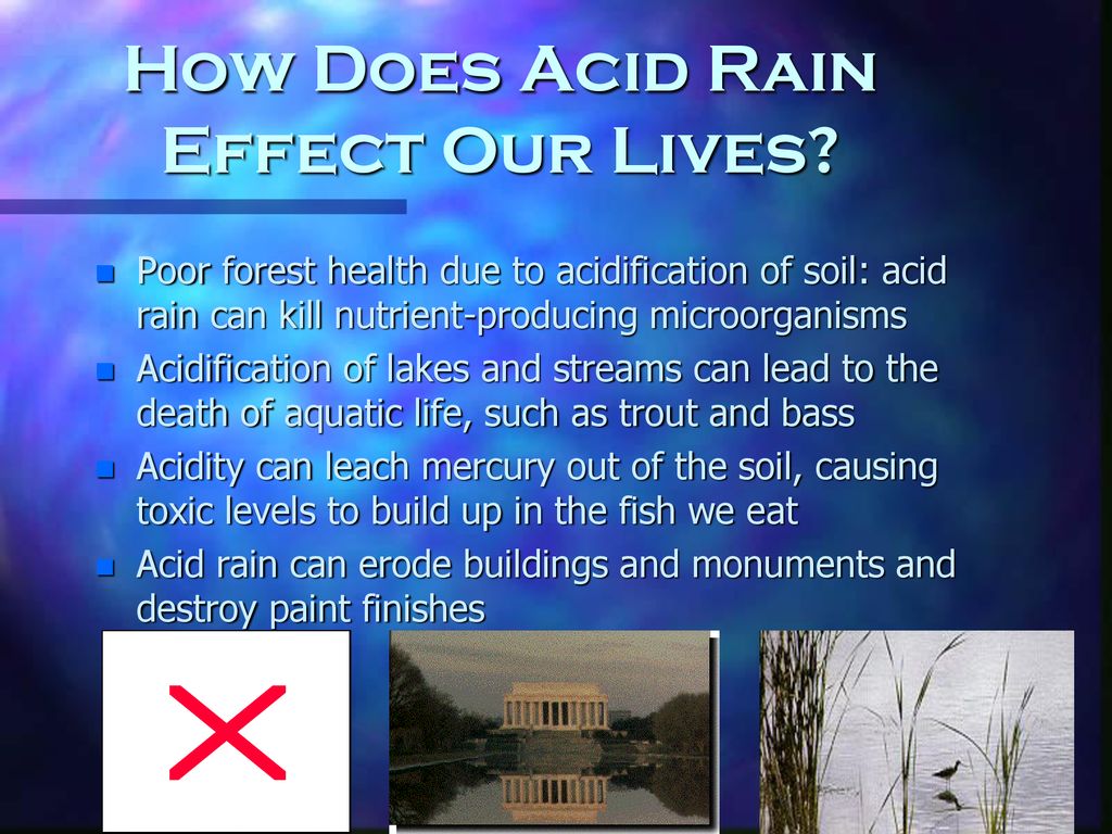 How Does Acid Rain Effect Our Lives