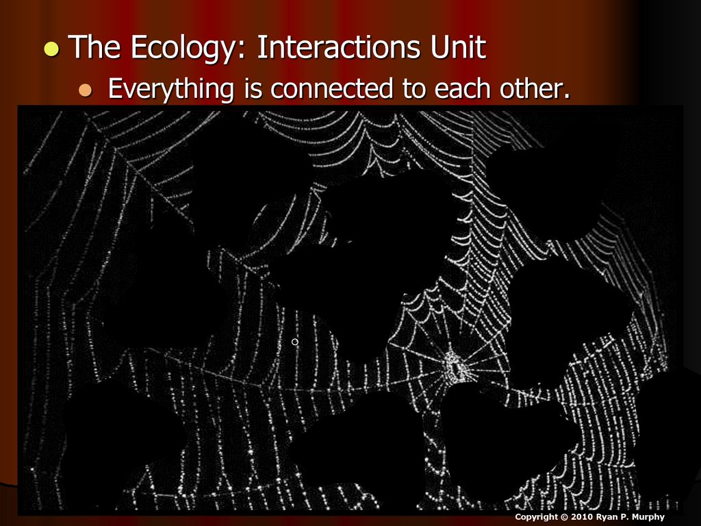 This Preview Is From Part I/III Of The Ecology Interactions Unit - Ppt ...