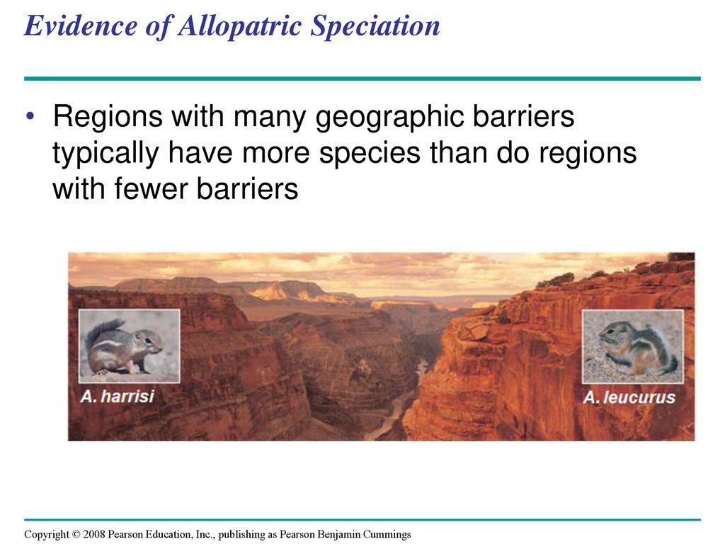 Evidence of Allopatric Speciation