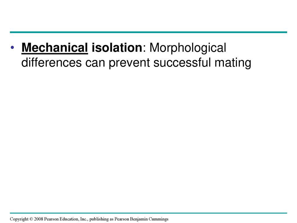 Mechanical isolation: Morphological differences can prevent successful mating