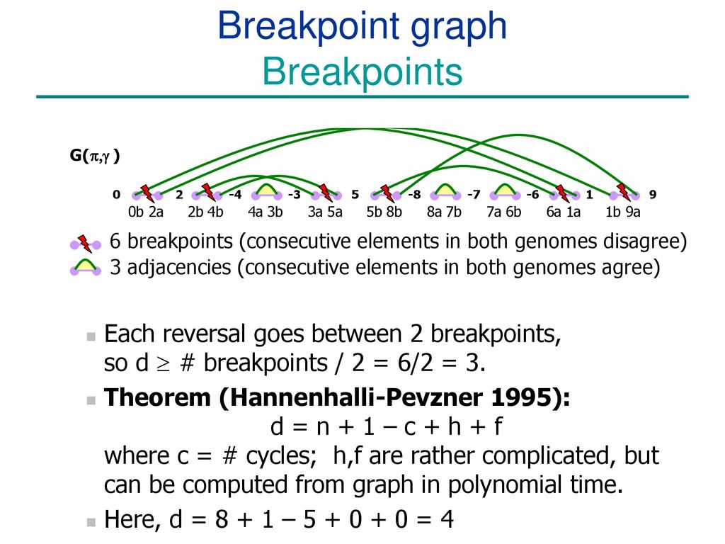 Lecture 3 Genome Rearrangements And Duplications Ppt Download