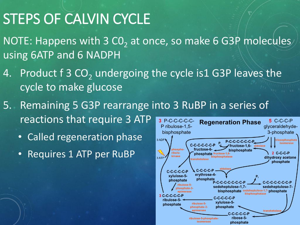 cell-energy-photosynthesis-ppt-download