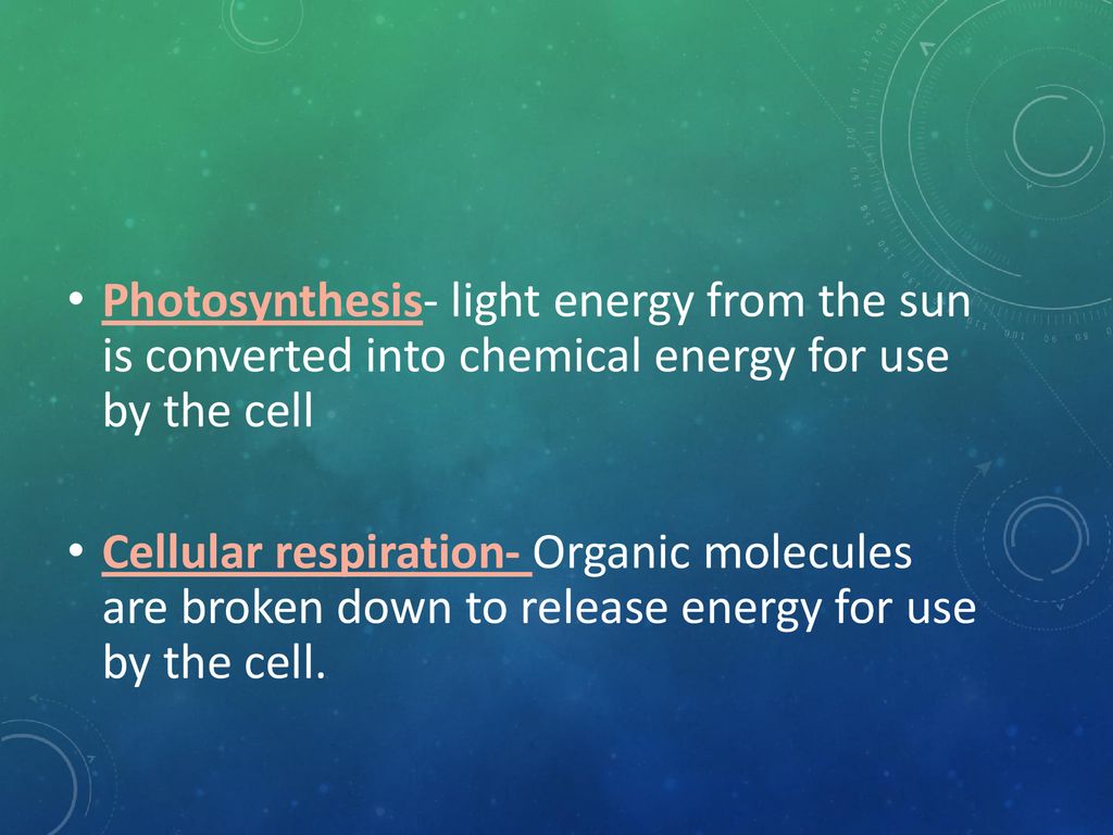 Cell Energy Photosynthesis Ppt Download cell-energy-photosynthesis-ppt-download