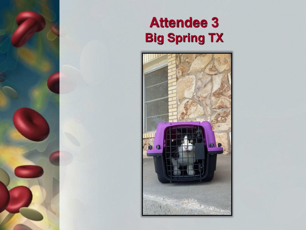 Attendee 3 Big Spring TX