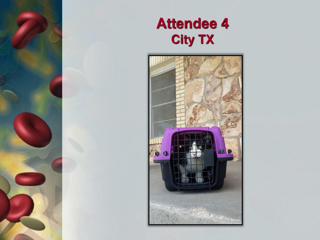 Attendee 4 City TX